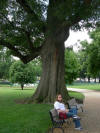 Capitol Hill Lunch