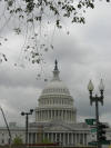 Capitol Building - lights in front