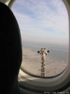 Giraffe out plane window